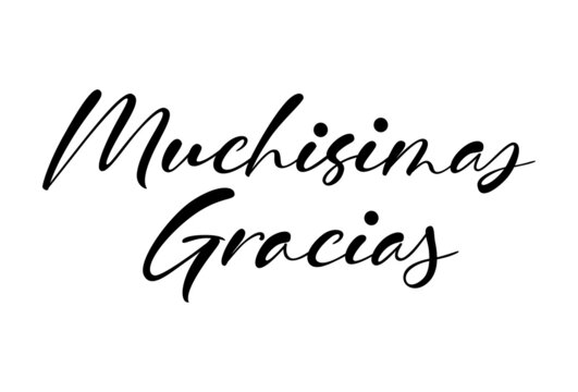 Gracias calligraphy spain text. Hand lettering spanish word thank you. Lettering postcard design in script style. Vector isolated illustration