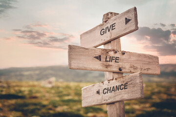 give life chance text quote caption on wooden signpost outdoors in nature. Stock sign words theme.