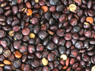 Red quinoa close-up (macroscopic photo) - Texture background - Food