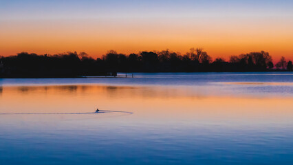 Obraz na płótnie Canvas A duck swims in the bay at sunrise