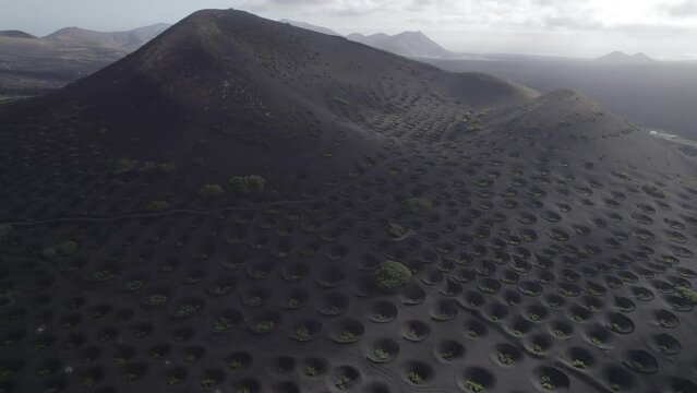 La Geria Lanzarote