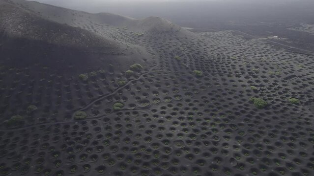 La Geria