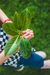Children take care of nature tree in their hands. Selective focus.
