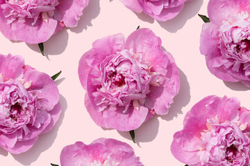 bright pink peonies pattern on a coral pink background