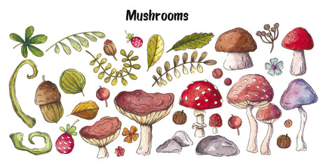 Autumn Set with Mushrooms, Branches, Leaves and Stones