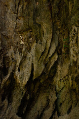 texture