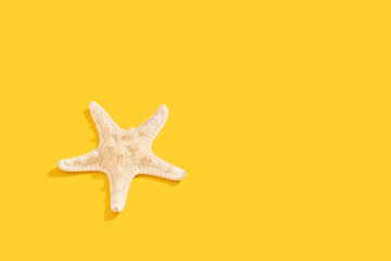 Fototapeta na wymiar Starfish on a yellow background