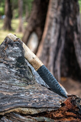 Stone Age hand-made obsidian knife art of stone knife