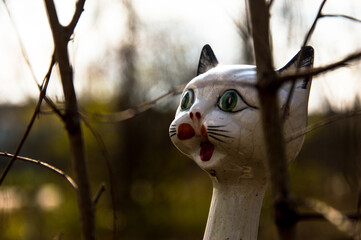 Fototapeta premium gatto nel bosco