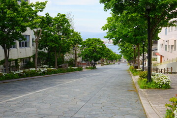 Fototapeta premium Hachiman-Zaka Slope in Hakodate, Hokkaido, Japan - 日本 北海道 函館 八幡坂