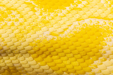 Yellow snake skin texture,Leather products. Yellow leather,Snake skin 