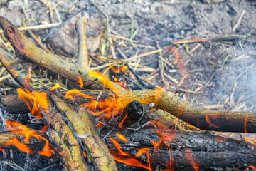 Campfire and burning wood with orange flames Germany.