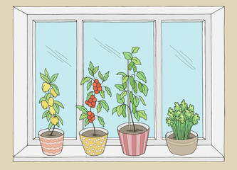 Window vegetable garden graphic color interior sketch illustration vector