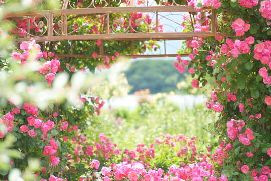 Hope you enjoy this beautiful spring season