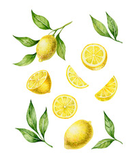 Lemon clipart. Branch with lemon, slices, half акгше, leaves.  Watercolor clipart, illustrations isolated on white..