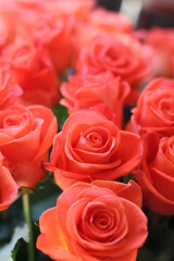 Salmon color rose bouquet