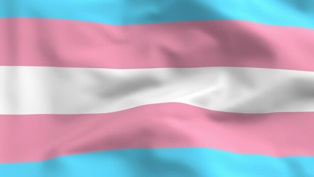 Transgender flag