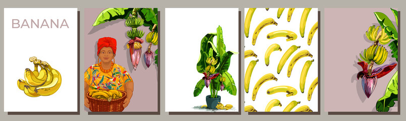 754_banana banana, graphic drawing, a set of leaves of an exotic plant on a white background, fruits and a flower, a template of backgrounds for congratulations, invitations, postcards, advertising, d