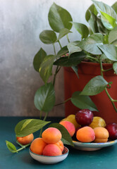 Still life photo with seasonal fruit. Colorful picture of summer fruit on a table. 
