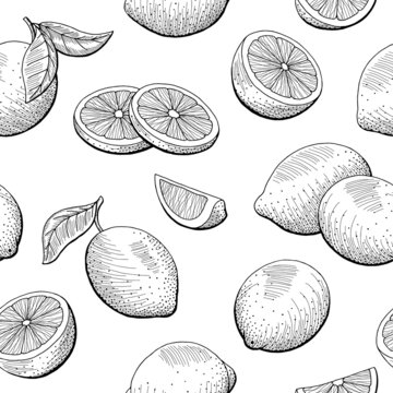 Lemon fruit graphic black white seamless pattern sketch illustration vector 