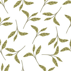 Green matcha seamless pattern. Matcha leaves are an herbal organic food. Japanese tea culture. Asian culture.