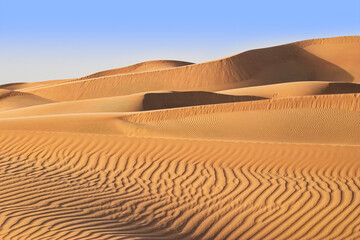 Fototapeta na wymiar Desert landscape with warm orange sand dunes and blue skies