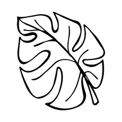 Simple tropical leaf illustration. Hand drawn vector monstera leaf clipart. Botanical doodle for print, web, design, decor, logo.