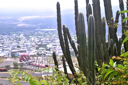 Montecristi