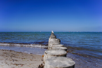 Baltic Groyne with seagull