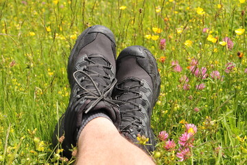 a hiker rests in a meadow