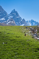 landscape in the mountains