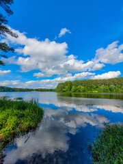 Plakat a gorgeous summer landscape at Lake Acworth with rippling blue lake water surrounded by lush green trees with blue sky and clouds reflecting off the water at South Shore Park in Acworth Georgia USA