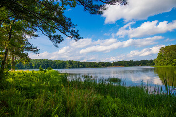 Obraz na płótnie Canvas a gorgeous summer landscape at Lake Acworth with rippling blue lake water surrounded by lush green trees with blue sky and clouds reflecting off the water at South Shore Park in Acworth Georgia USA