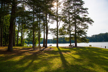 a gorgeous summer landscape at Lake Acworth with blue lake water and park benches and barbeque pits  surrounded by lush green trees, grass and plants at Proctor Landing Park in Acworth Georgia USA