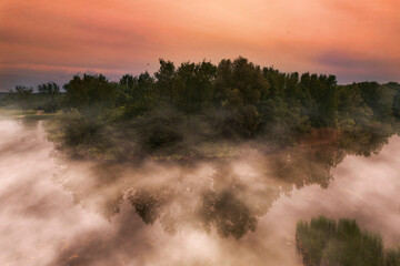 a dark forest by the lake covered in fog, a mysterious sunset
