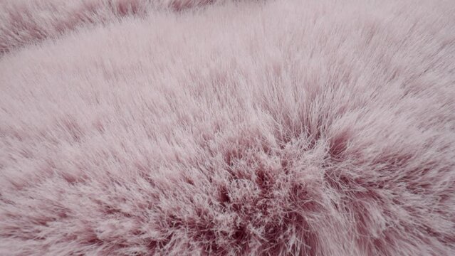 Texture of soft fluffy pink fur fabric. Faux hairy fur. Fluffy fake fur clothes, furry blanket. The camera moves along the hairs of fur. Textile shaggy fiber close up. Fashion industry textile.