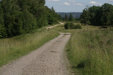 Weg in einer Landschaft mit Kurve, Sauerland