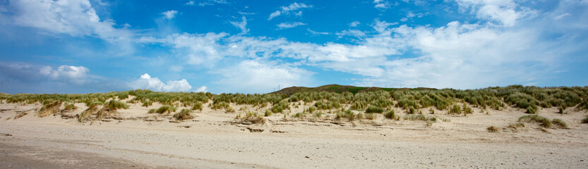 Fototapeta na wymiar The Sand Dunes at Aber Dyfi Beach