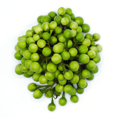 Fresh green eggplant isolated on white background. It may call in diference name Solanum torvum, the turkey berry, devil's fig, pea eggplant, platebrush or susumber. Spot focus.