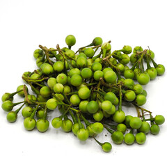 Fresh green eggplant isolated on white background. It may call in diference name Solanum torvum, the turkey berry, devil's fig, pea eggplant, platebrush or susumber. Spot focus.
