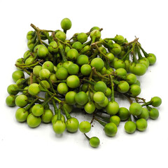 Fresh green eggplant isolated on white background. It may call in diference name Solanum torvum, the turkey berry, devil's fig, pea eggplant, platebrush or susumber. Spot focus.