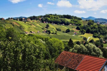 Fototapeta na wymiar Beautiful landscape scenery of countryside, vineyards and vine cellars on the green hils under blue skies at Klenice, Croatia, county hrvatsko zagorje 