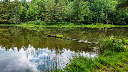 Fototapeta na wymiar Aqua-Terra Wilderness Area in Binghamton NY. Small lake or large pond, I'm not really sure the difference. 