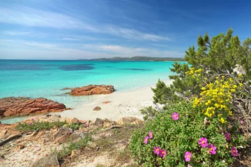 Keuken foto achterwand Palombaggia strand, Corsica Zomer op zee