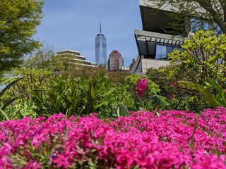 Naklejka premium World Trade Center and flower bed in Battery Park Ciy, New York, NY - May 2022
