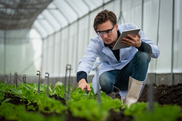 Portrait of handsome agricultural researcher holding tablet while working on research at plantation...