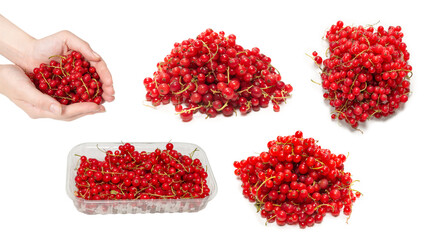 Tasty red currant isolated on white background.
