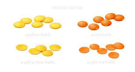 Groups of red and yellow (shelled) lentil (split and whole) isolated on white background. Side view. Realistic vector illustration. - obrazy, fototapety, plakaty