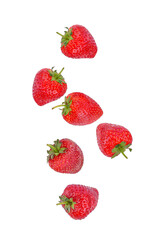 Strawberry falling in the air isolated n white background.