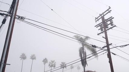 Palm trees in fog on american city street, misty foggy cloudy weather in California, USA. Power...